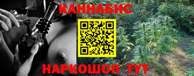 индика Новодвинск